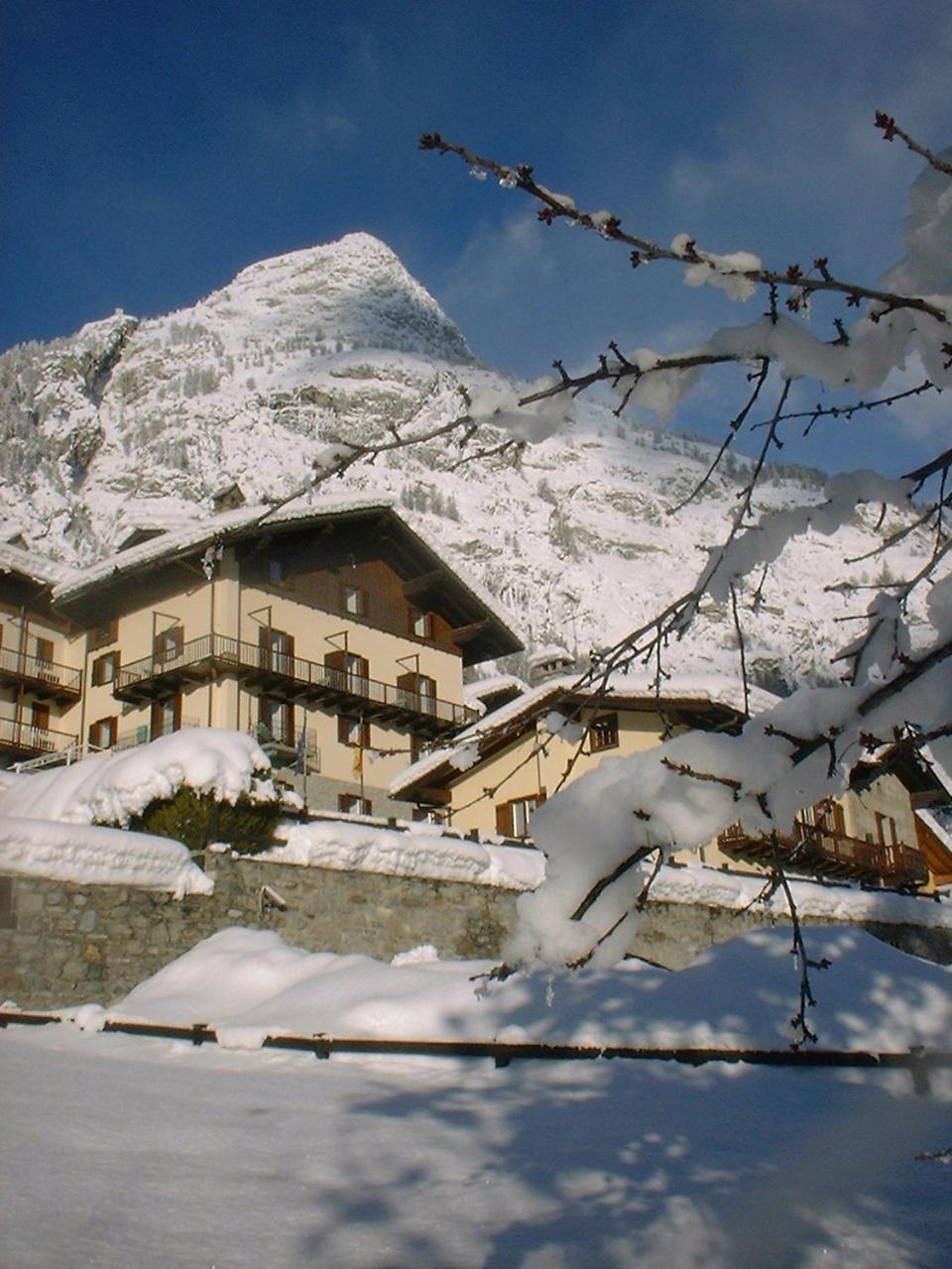 Hotel Ottoz Meuble Courmayeur Exterior foto